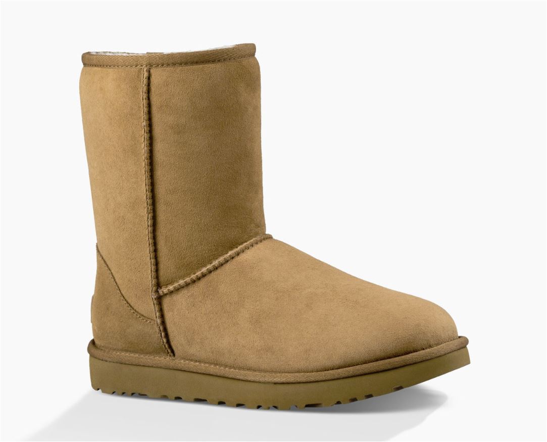 chestnut / hellbraun 